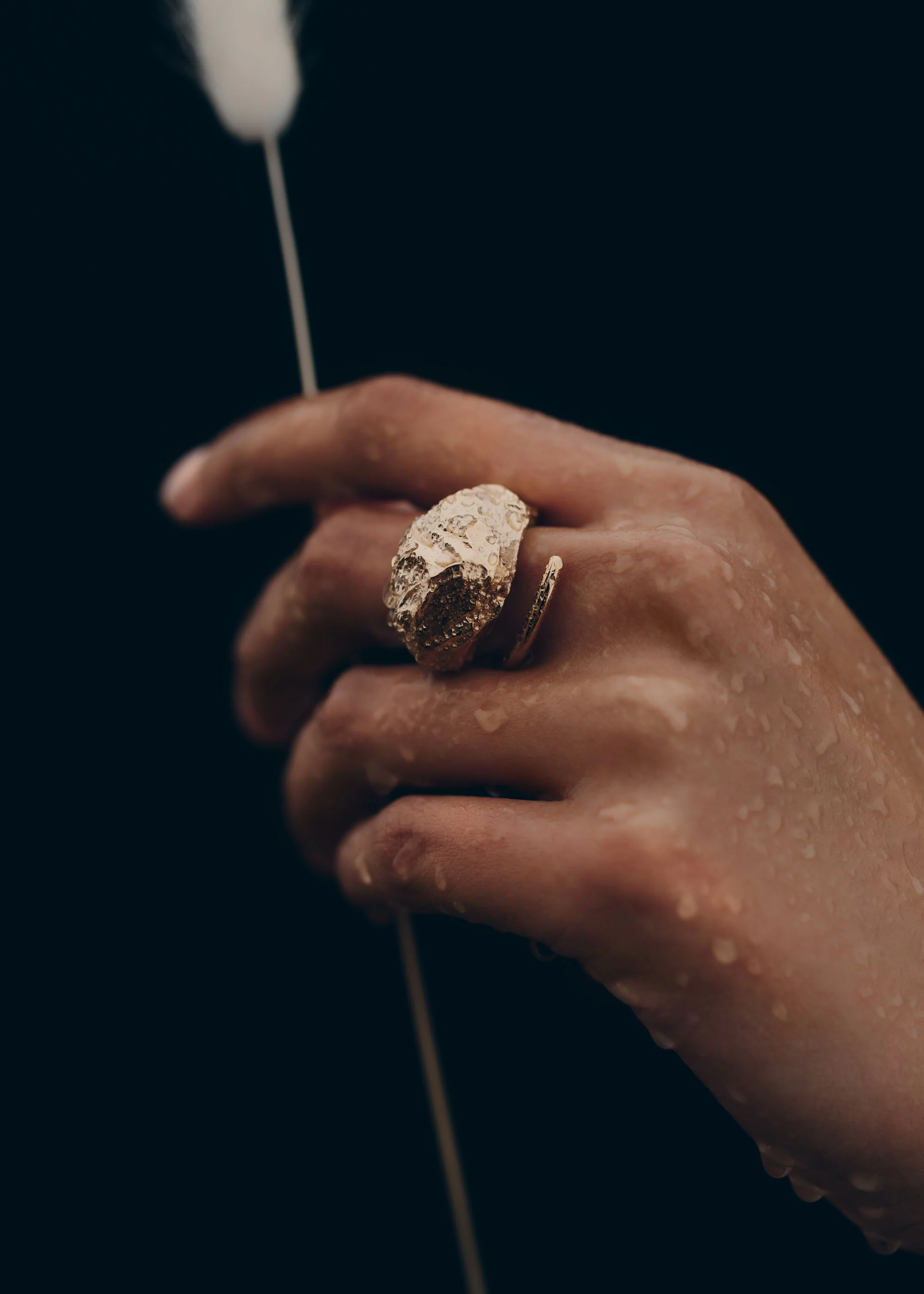 Eroz Ring - 24 carat gold gilded edition - Image 3