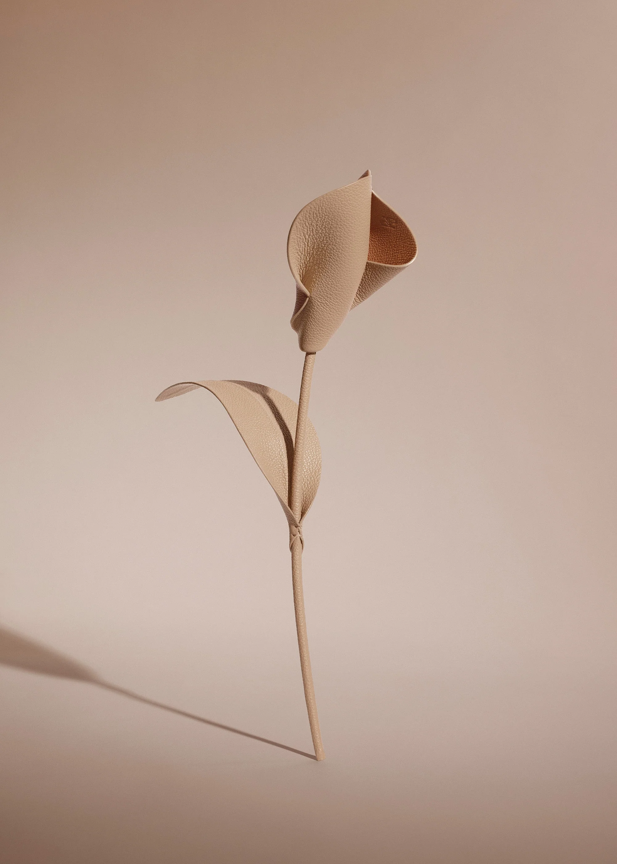 Pili Flower - Beige - Image 2