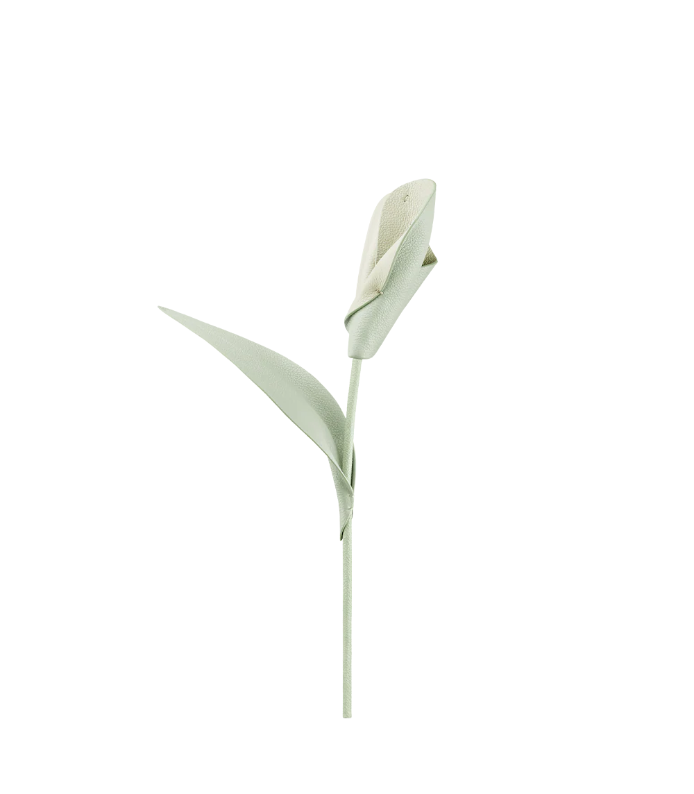 Pili Flower - Fresh Almond